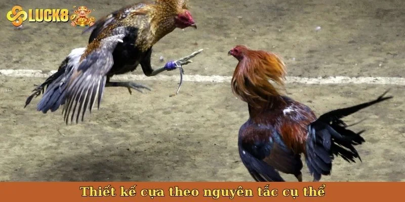 thiet-ke-cua-theo-nguyen-tac-cu-the