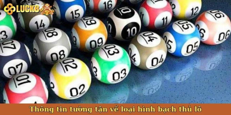 thong-tin-tuong-tan-ve-loai-hinh-bach-thu-lo
